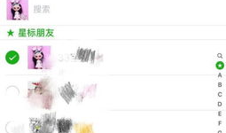 吃瓜爆料群微信怎么进,如何轻松加入吃瓜爆料群微信群，畅享热门资讯！